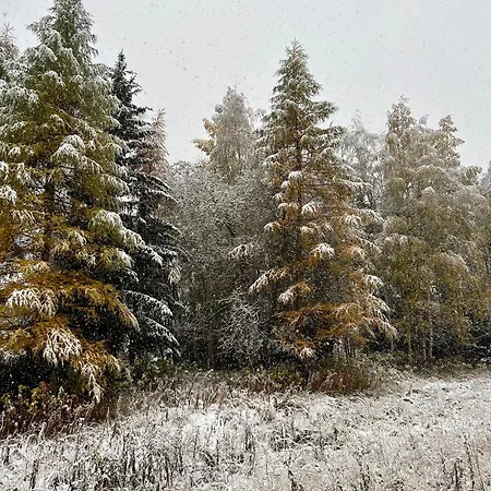 La Maison Del Ru - Cir Vda 0037 شقة Gignod