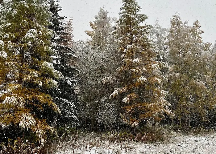 La Maison Del Ru - Cir Vda 0037 Apartment Gignod